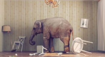 New Jersey’s Educational Caste System, Lakewood’s Elephant in the Room, and One Truth-Speaker