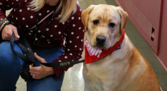  5 Ways a Therapy Dog Can Make a Difference for Children on the Autism Spectrum